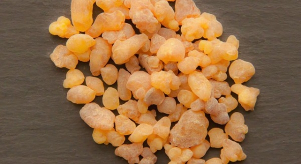 Your Oncologist Will Never Tell You That Frankincense Essential Oil Treats And Prevents Cancer - picture 2