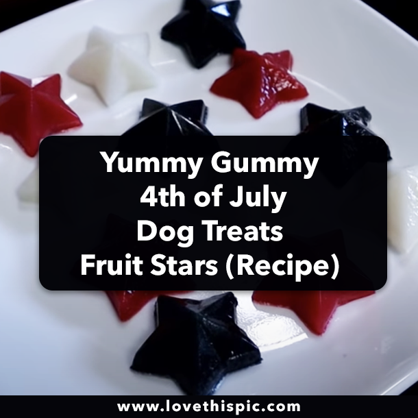 Yummy Gummy 4th of July Dog Treats Fruit Stars (Recipe)