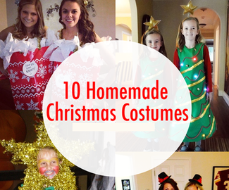10 Homemade Christmas Costumes