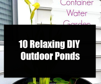 10 Relaxing DIY Outdoor Ponds