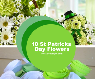 10 St Patricks Day Flowers