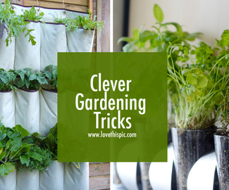 Clever Gardening Tricks