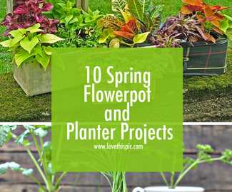10 Spring Flowerpot and Planter Projects