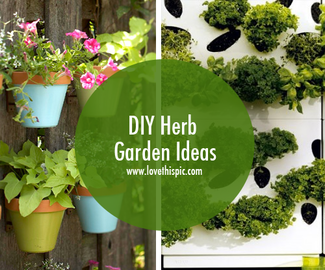 DIY Herb Garden Ideas