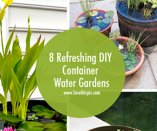 8 Refreshing DIY Container Water Gardens