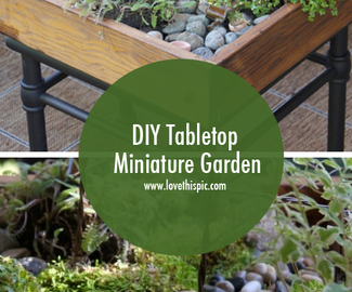 DIY Tabletop Miniature Garden