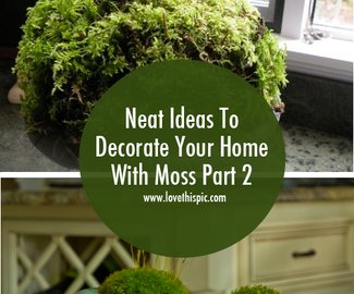 Neat Ideas To Decorate Your Home With Moss Part 2