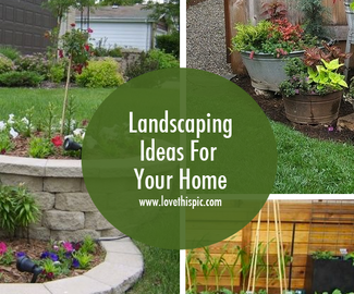 Landscaping Ideas For Your Home