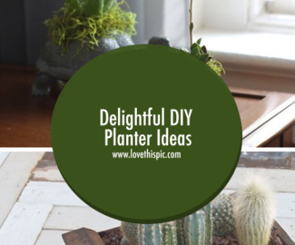 Delightful DIY Planter Ideas