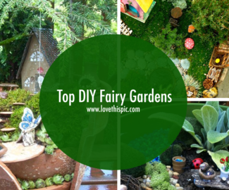 Top DIY Fairy Gardens