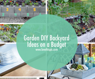 Garden DIY Backyard Ideas on a Budget