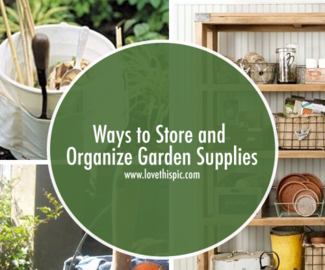 Ways to Store and Organize Garden Supplies