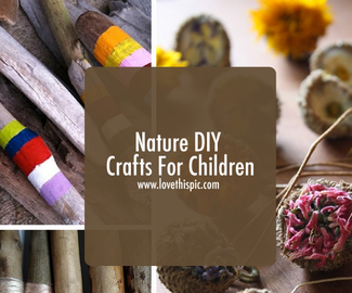 Nature DIY Crafts For Children