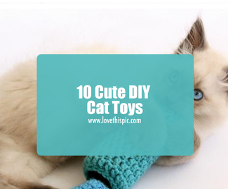 10 Cute DIY Cat Toys