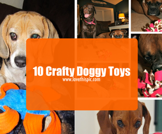 10 Crafty Doggy Toys