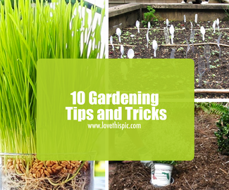 10 Gardening Tips and Tricks
