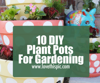 10 DIY Plant Pots For Gardening