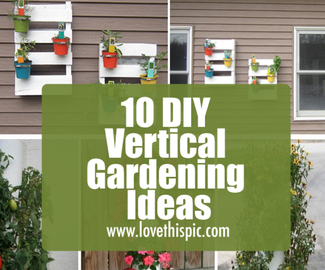 10 DIY Vertical Gardening Ideas