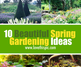 10 Beautiful Spring Gardening Ideas