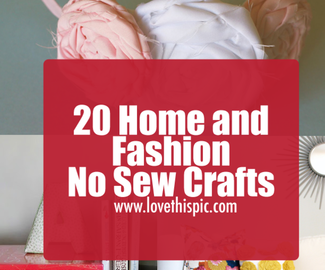 20 Home and Fashion No Sew Crafts