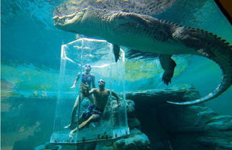 Crocosaurus Cove Aquarium, Australia