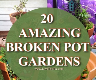 20 Amazing Broken Pot Gardens