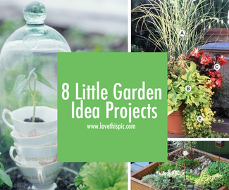 8 Little Garden Idea Projects