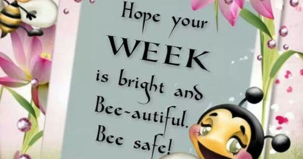 10 Beautiful Quotes To Get The New Week Started