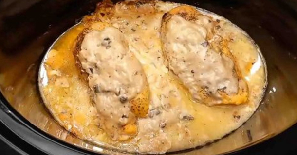 Slow Cooker Crock Pot Creamy Mushroom Chicken Recipe