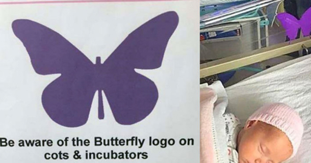 Butterfly Stickers Are Popping Up In Hospitals All Over America, What ...
