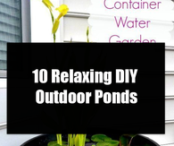 10 Relaxing DIY Outdoor Ponds