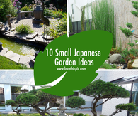 10 Small Japanese Garden Ideas