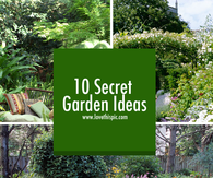 10 Secret Garden Ideas