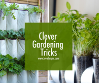 Clever Gardening Tricks