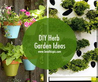 DIY Herb Garden Ideas