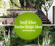 Small Urban Garden Design Ideas