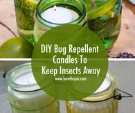 DIY Bug Repellent Candles To Keep Insects Away