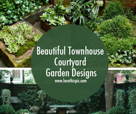 Beautiful Townhouse Courtyard Garden Designs