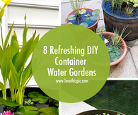 8 Refreshing DIY Container Water Gardens