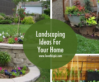Landscaping Ideas For Your Home