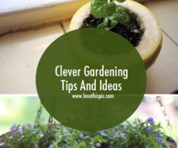 Clever Gardening Tips And Ideas