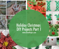 Holiday Christmas DIY Projects Part 1