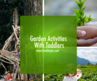 Garden Activities With Toddlers