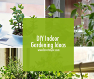 DIY Indoor Gardening Ideas