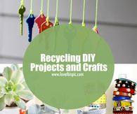 Recycling DIY Projects and Crafts