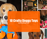 10 Crafty Doggy Toys