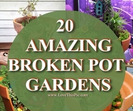 20 Amazing Broken Pot Gardens