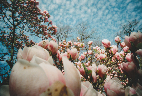 Cloudy Day