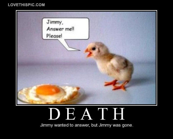 Death-jimmy-wanted-to-answer-but-jimmy-was-gone