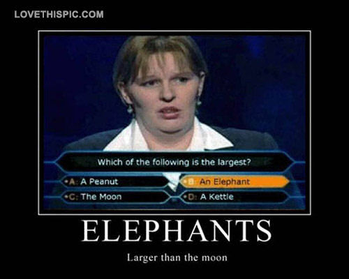 Elephants